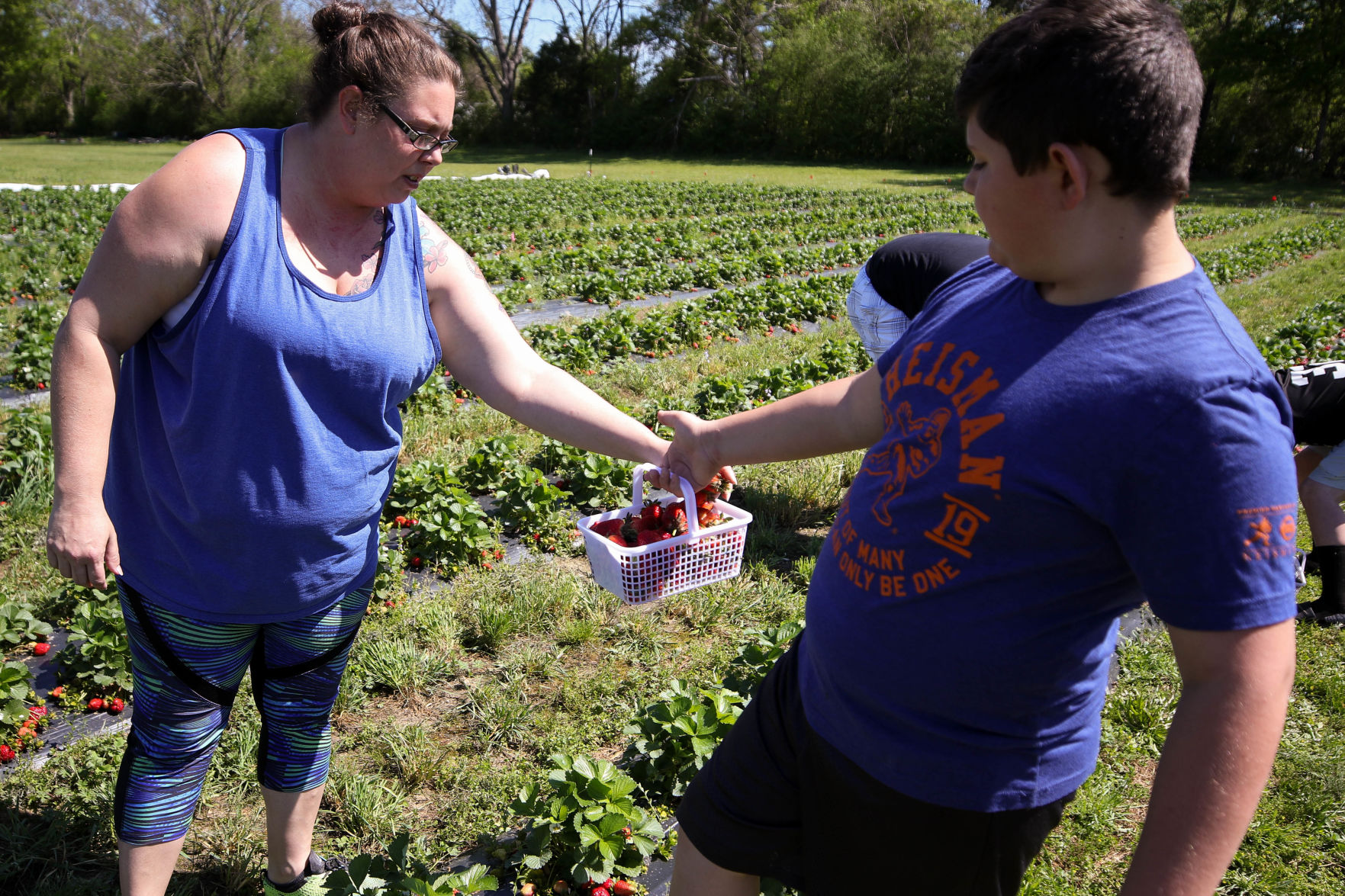 Lone Oak Farm